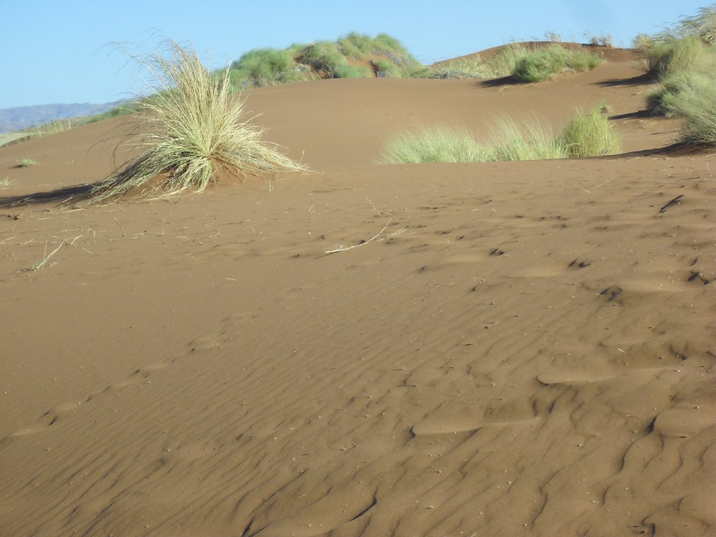 Image CIMG8700.JPG