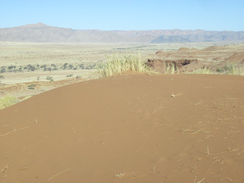 Image CIMG8701.JPG