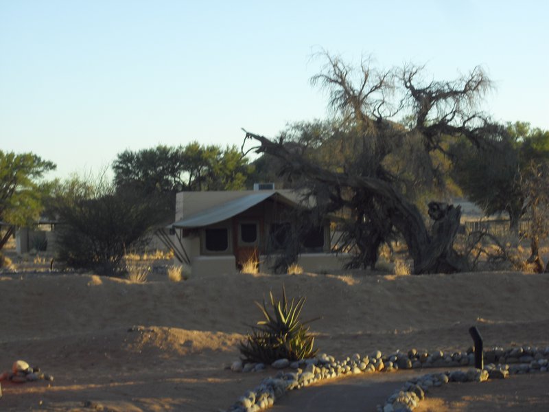 Image CIMG8719.JPG