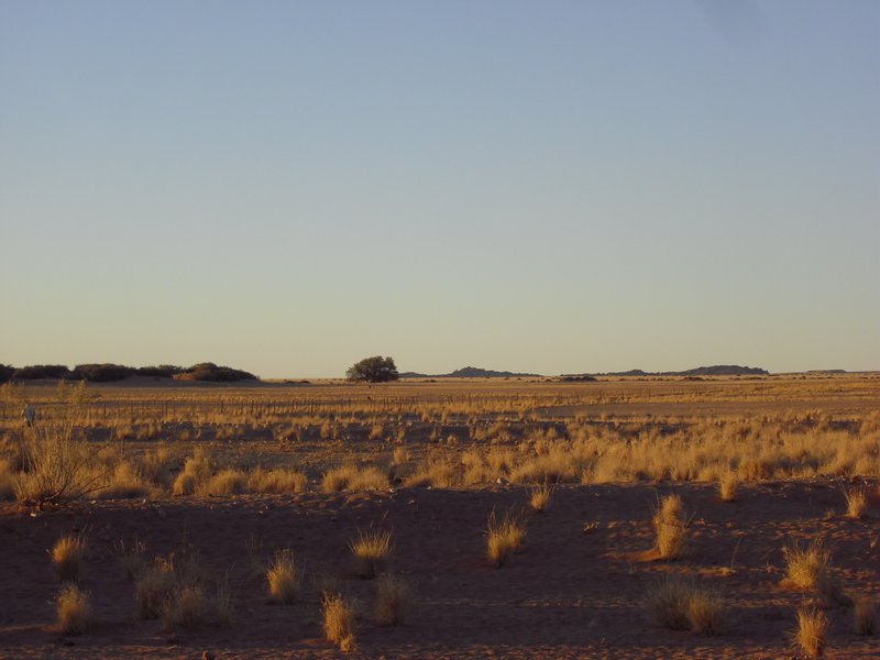 Image CIMG8721.JPG