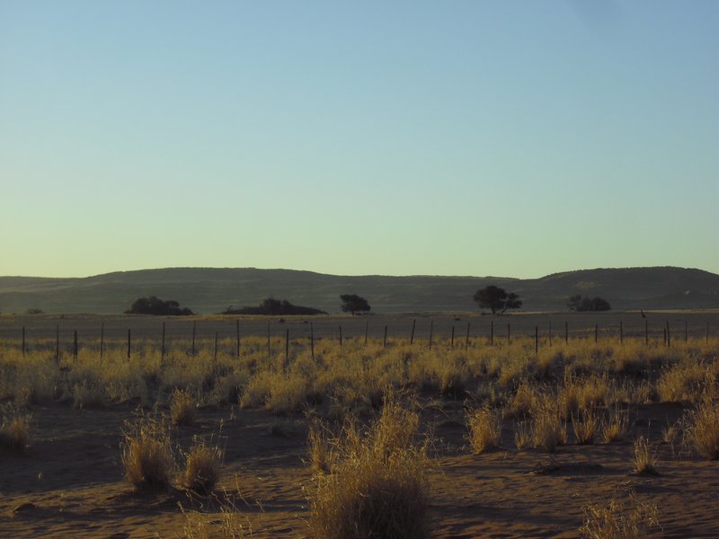 Image CIMG8722.JPG
