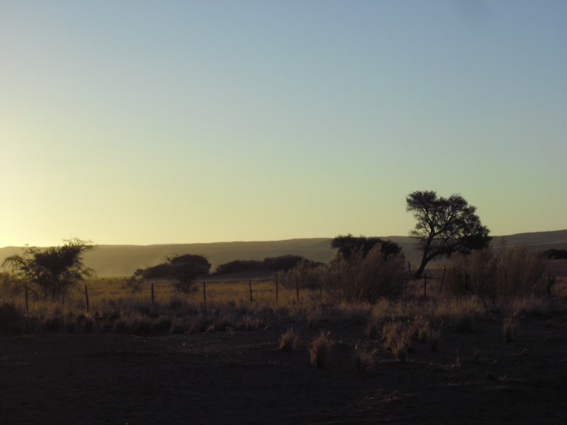 Image CIMG8723.JPG