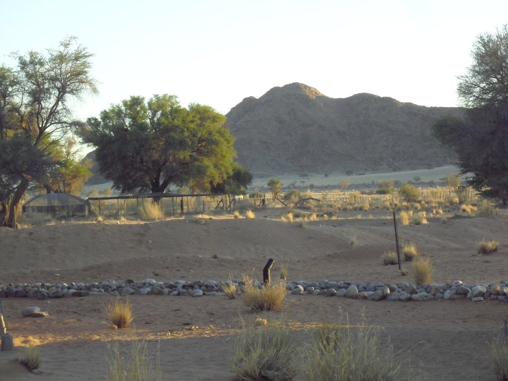 Image CIMG8724.JPG