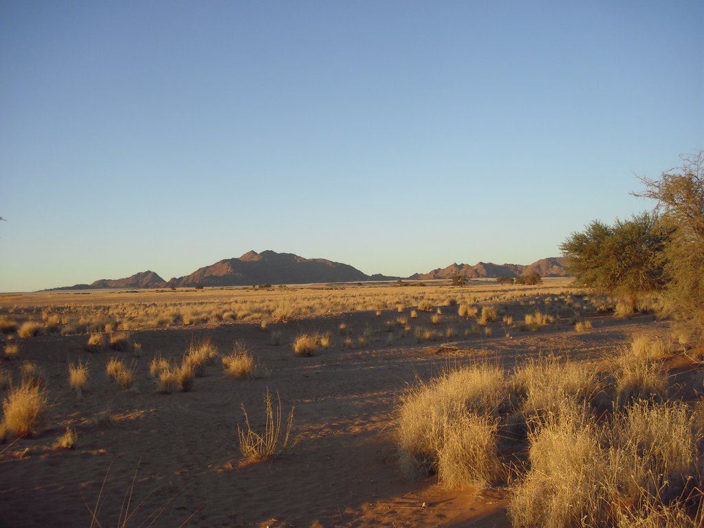 Image CIMG8725.JPG