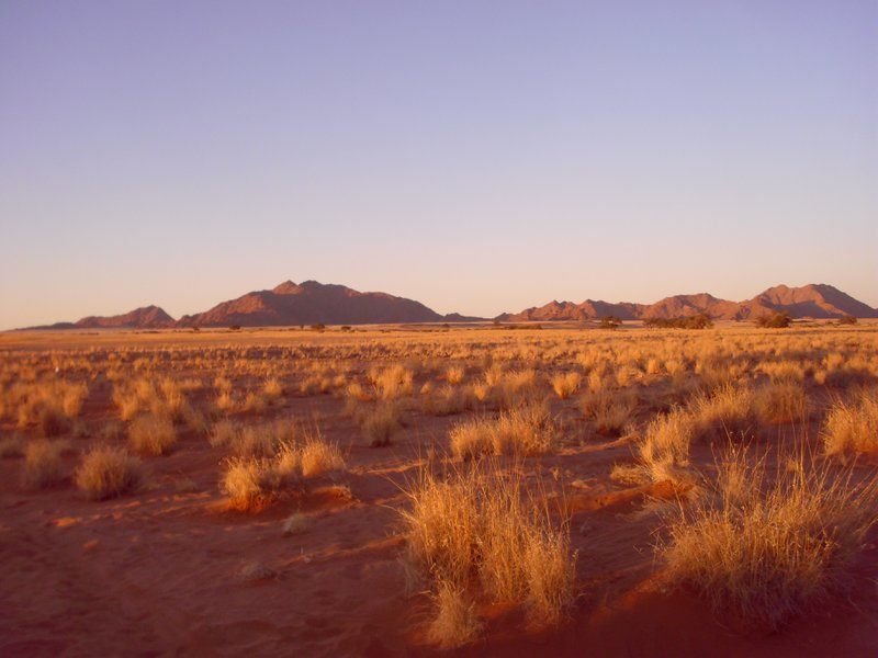 Image CIMG8730.JPG