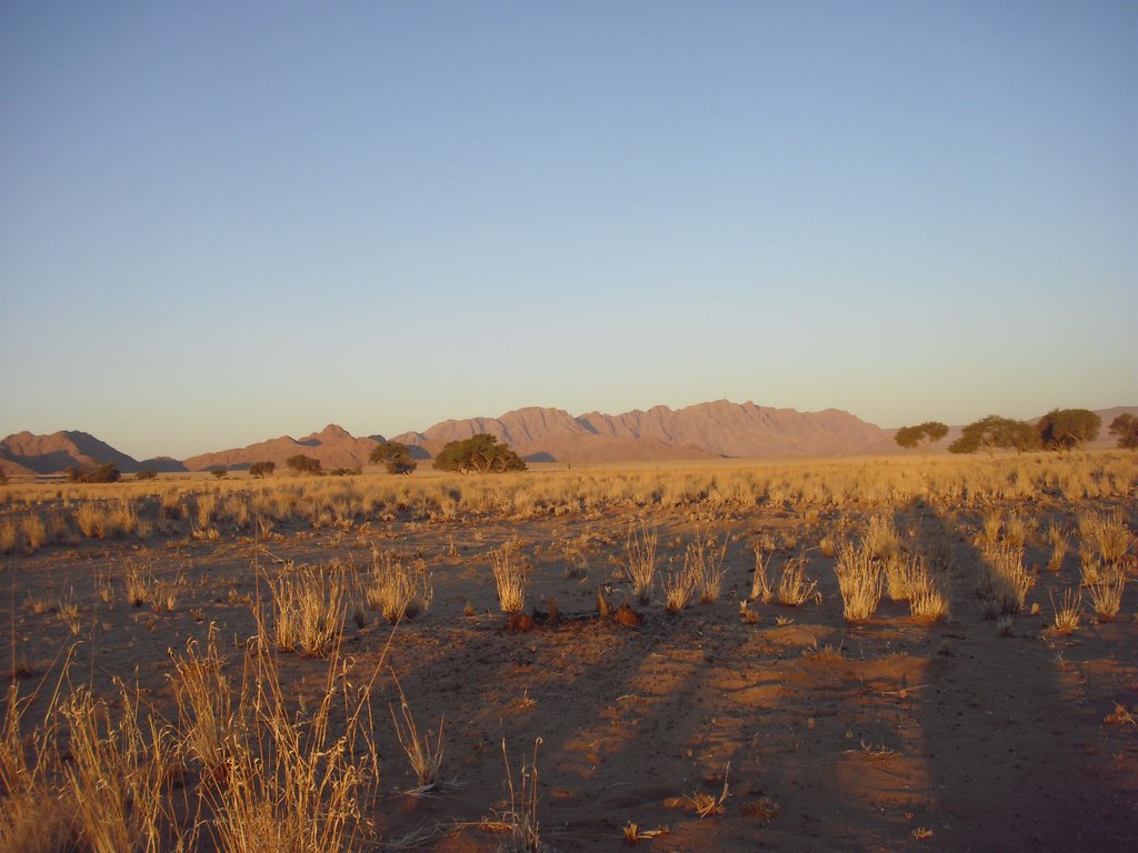 Image CIMG8733.JPG