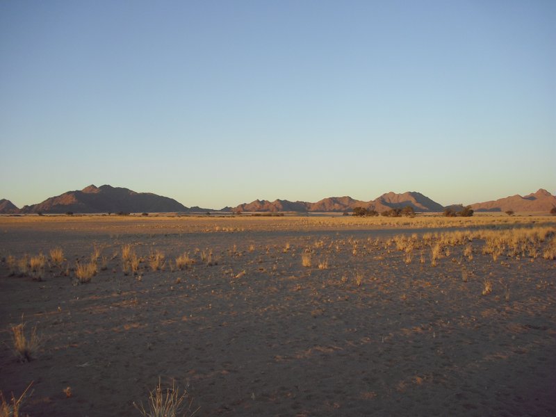 Image CIMG8734.JPG