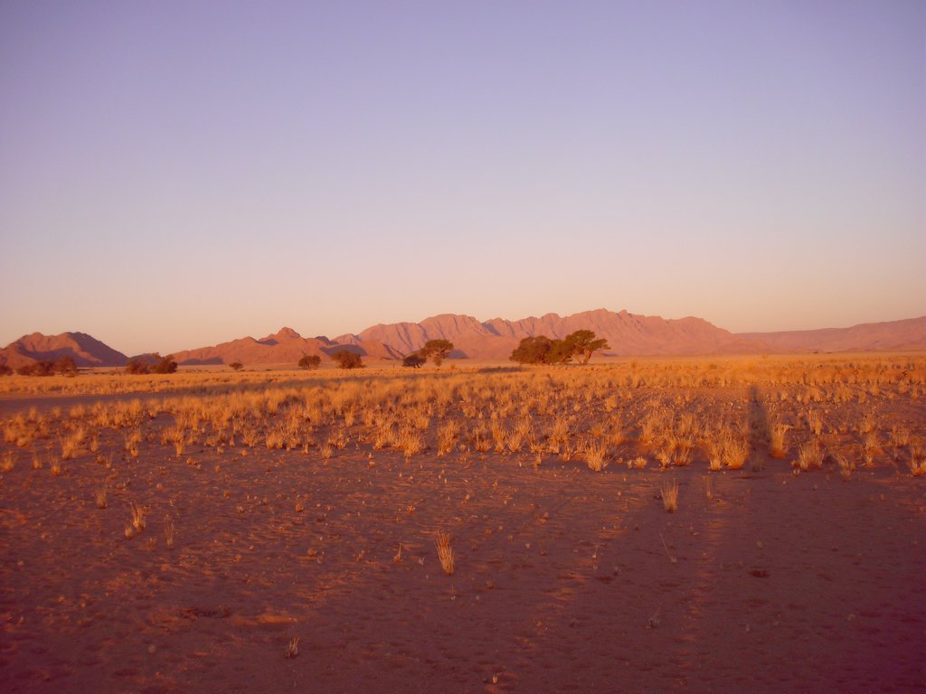 Image CIMG8735.JPG