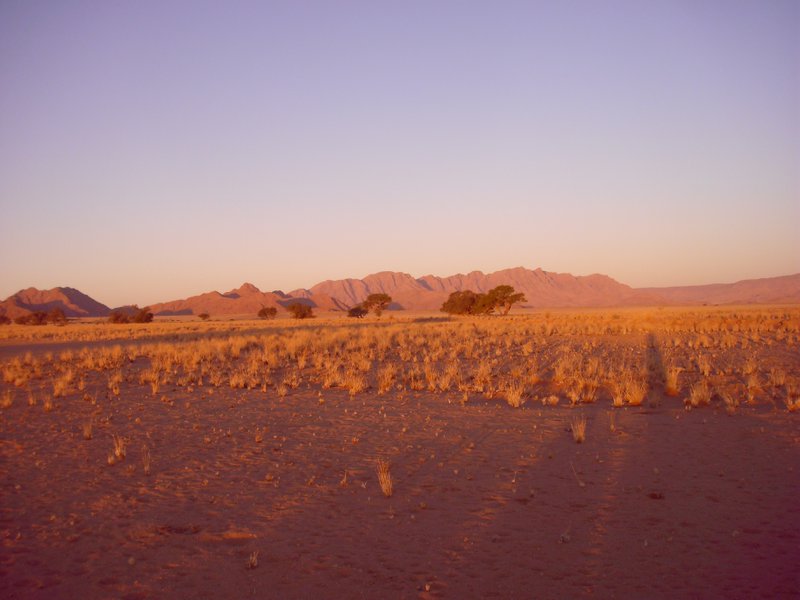 Image CIMG8735.JPG