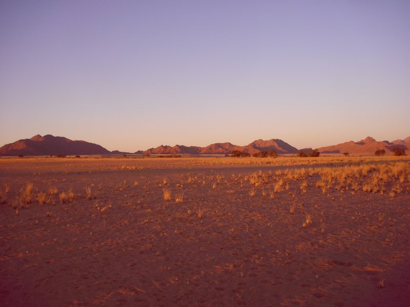 Image CIMG8736.JPG