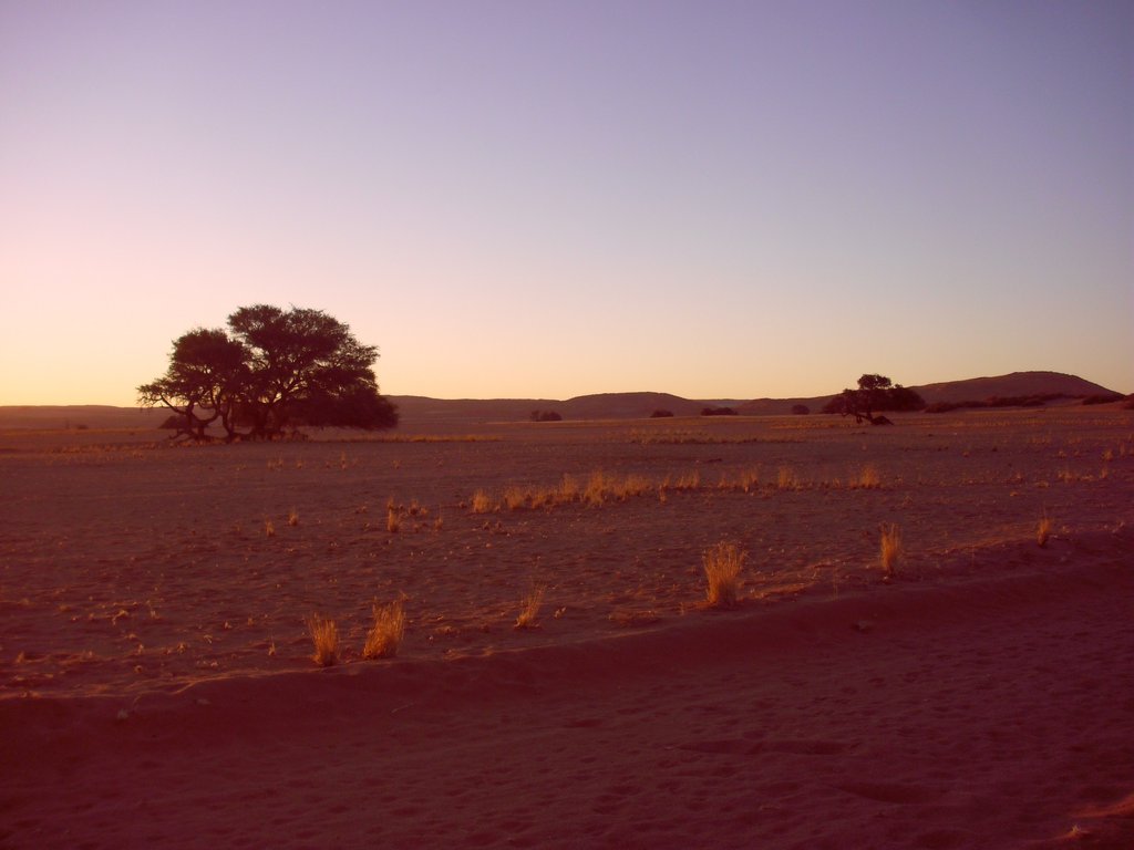 Image CIMG8737.JPG
