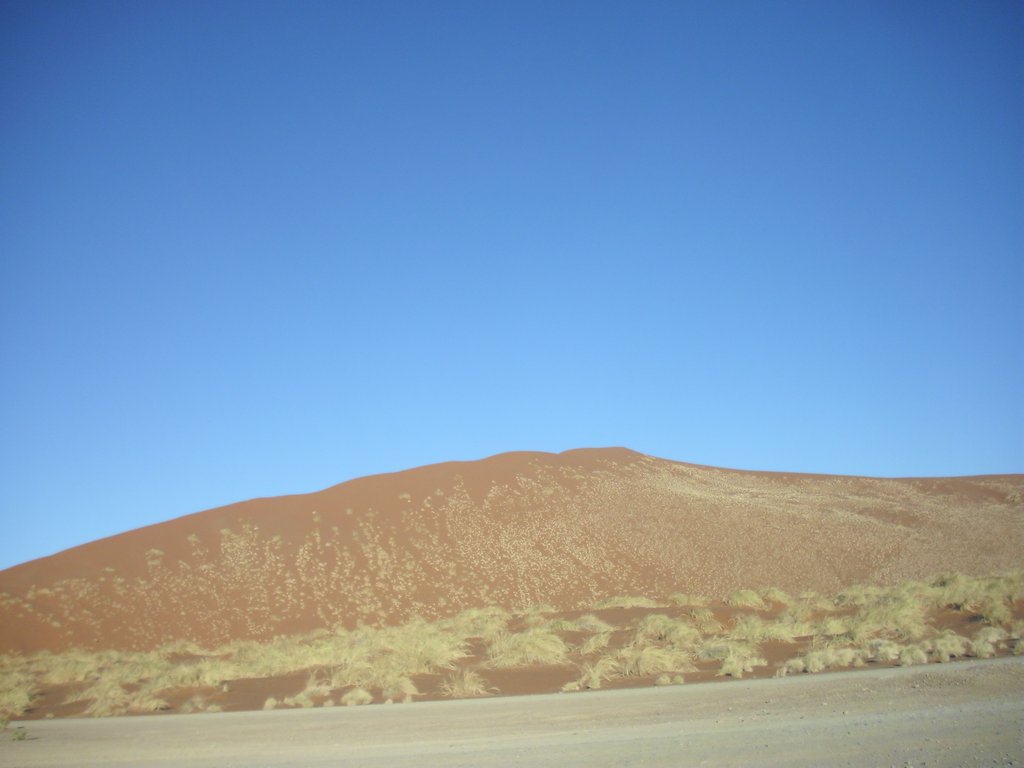 Image CIMG8745.JPG