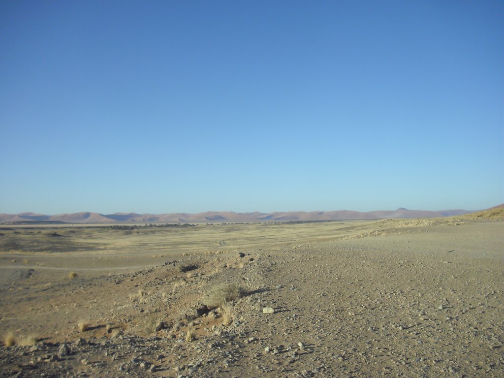 Image CIMG8746.JPG