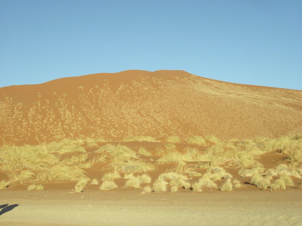 Image CIMG8750.JPG