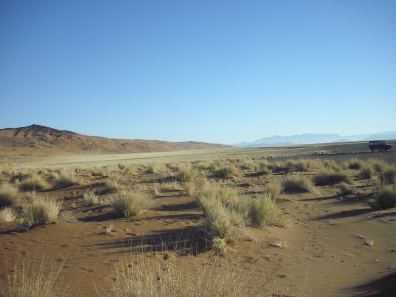 Image CIMG8752.JPG