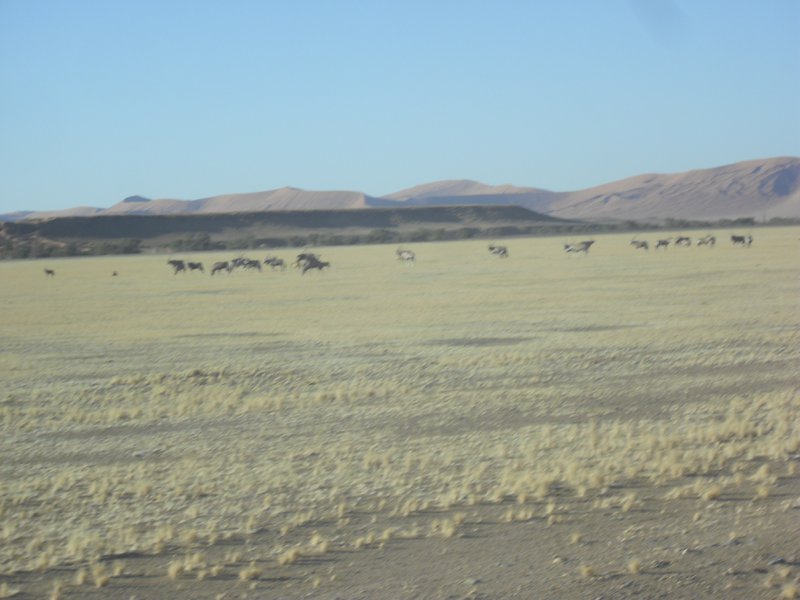 Image CIMG8755.JPG