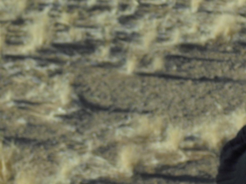 Image CIMG8757.JPG