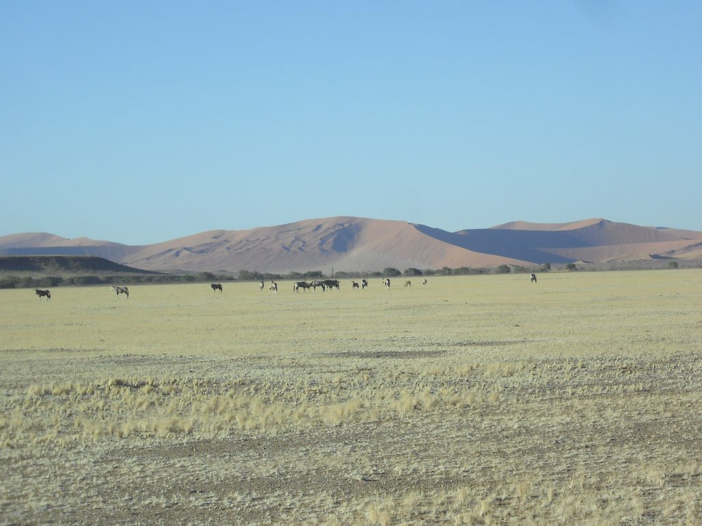 Image CIMG8759.JPG