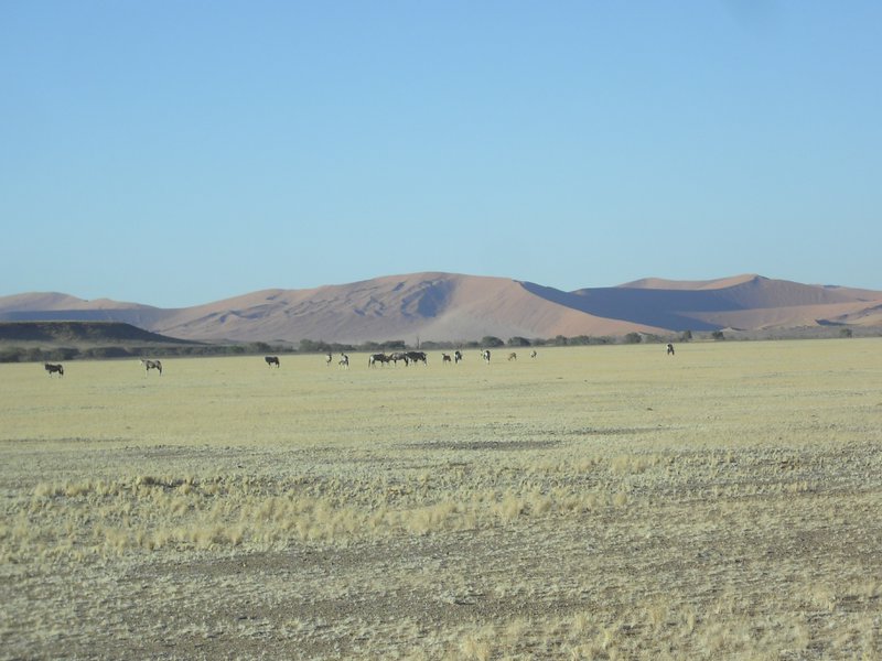 Image CIMG8759.JPG