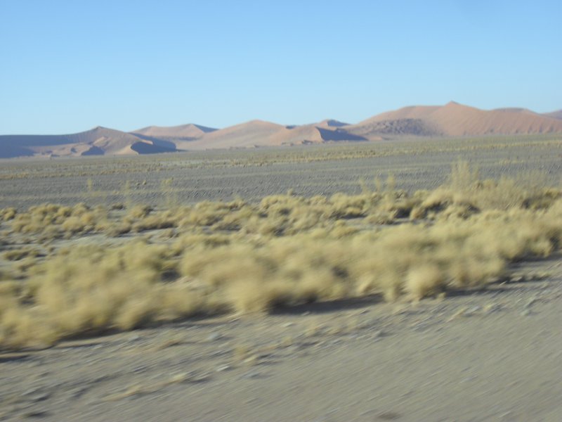 Image CIMG8761.JPG