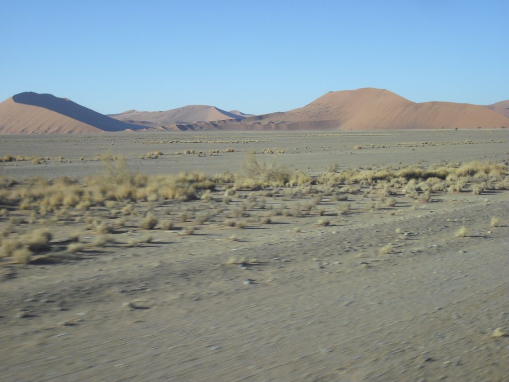 Image CIMG8763.JPG
