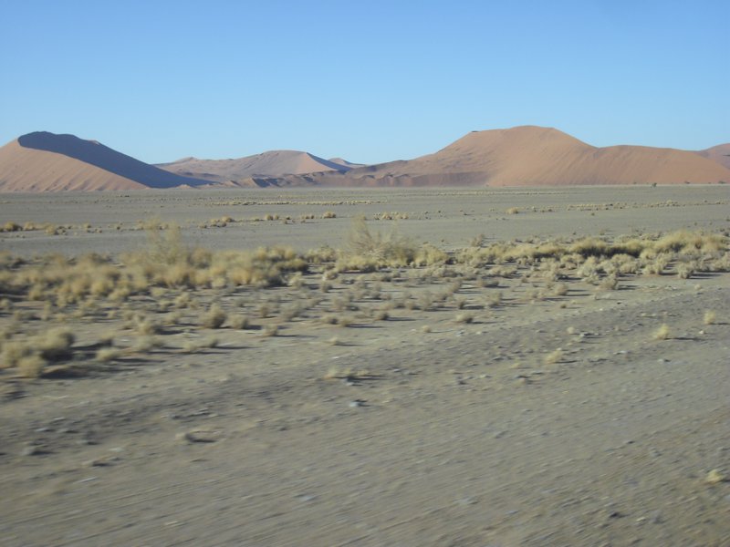 Image CIMG8763.JPG