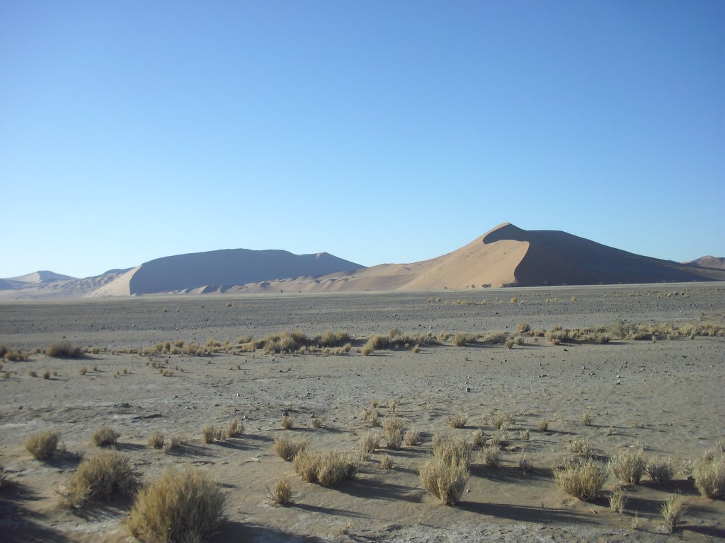 Image CIMG8769.JPG