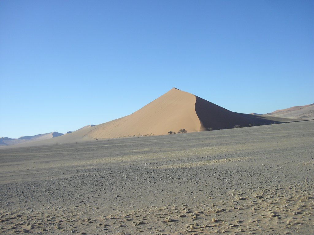 Image CIMG8774.JPG