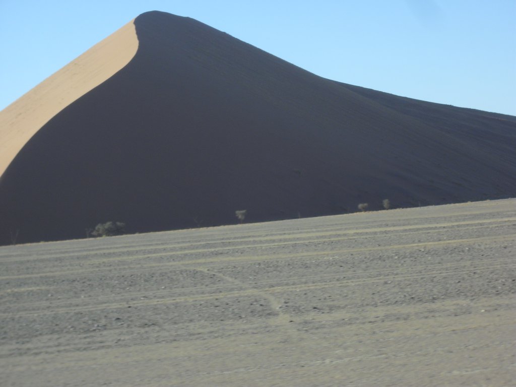 Image CIMG8777.JPG