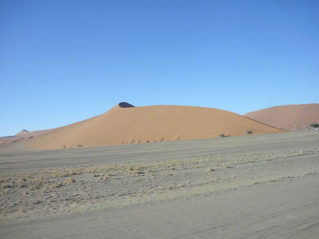 Image CIMG8779.JPG
