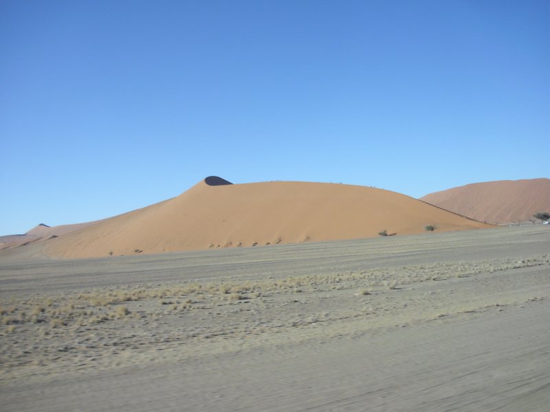 Image CIMG8779.JPG