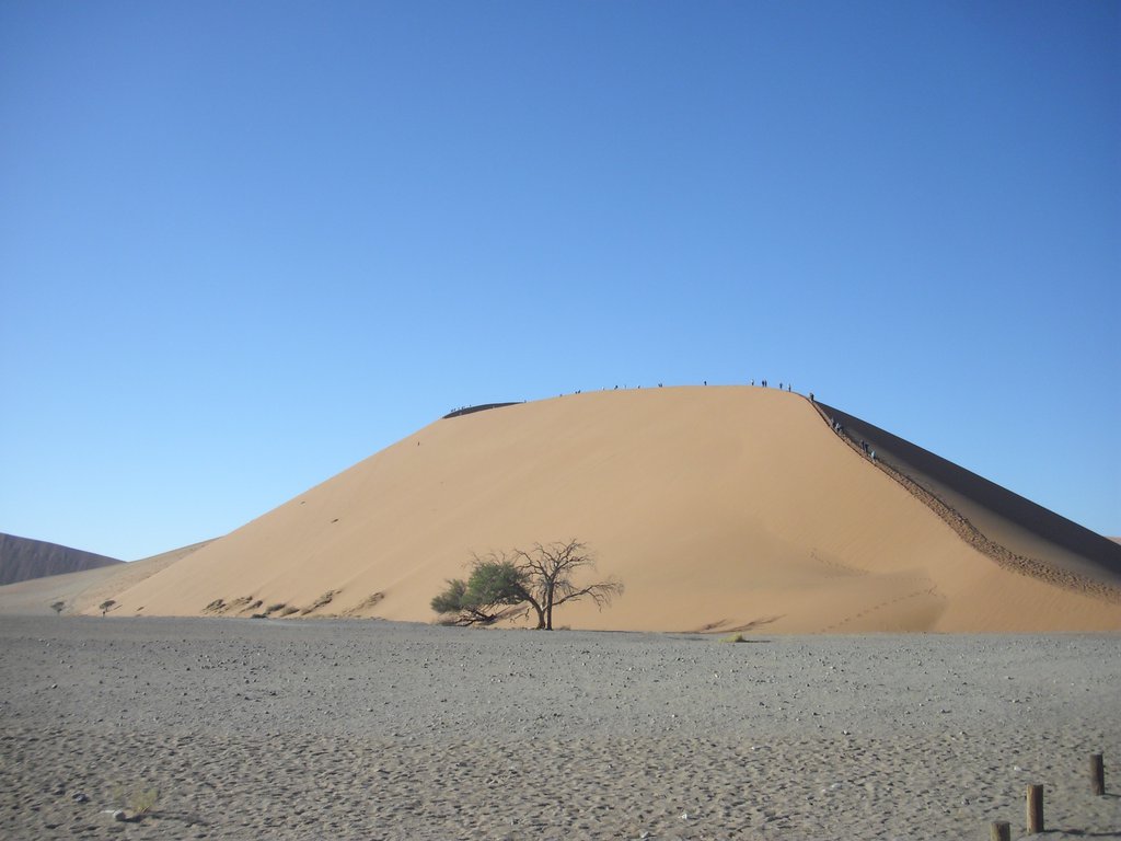 Image CIMG8780.JPG