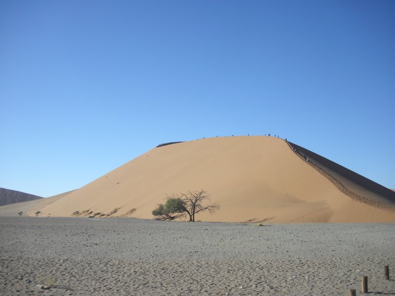 Image CIMG8780.JPG