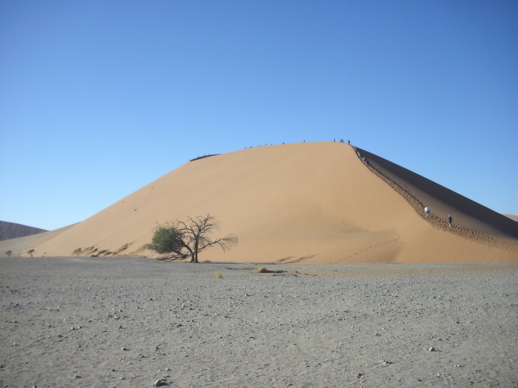 Image CIMG8781.JPG