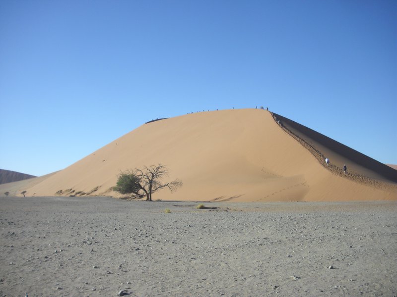 Image CIMG8781.JPG
