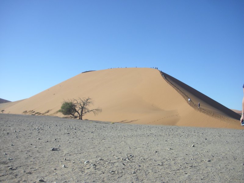 Image CIMG8782.JPG