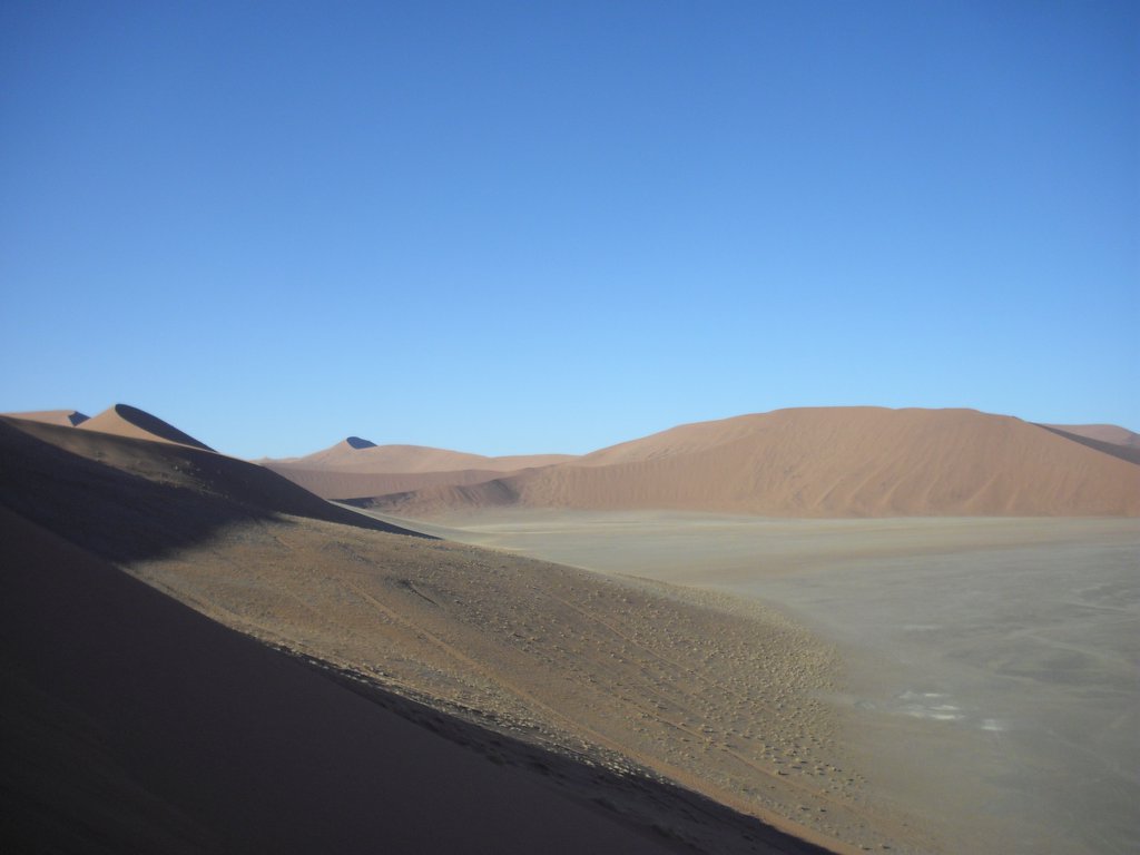 Image CIMG8787.JPG