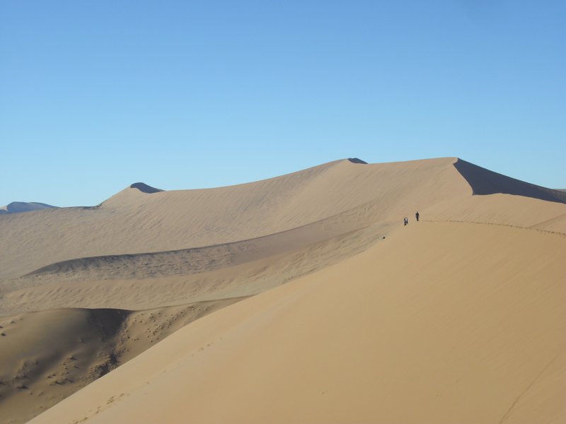 Image CIMG8796.JPG