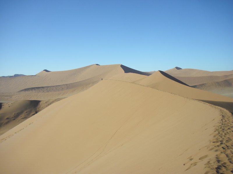 Image CIMG8800.JPG