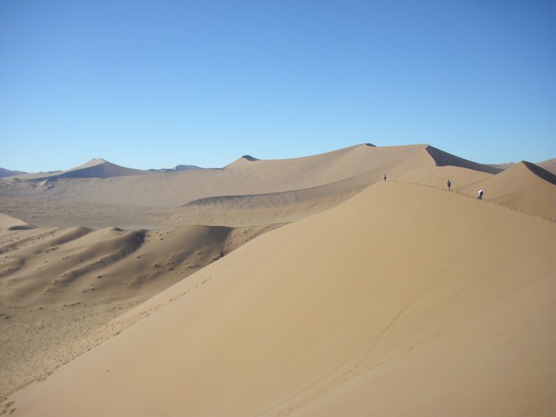 Image CIMG8808.JPG