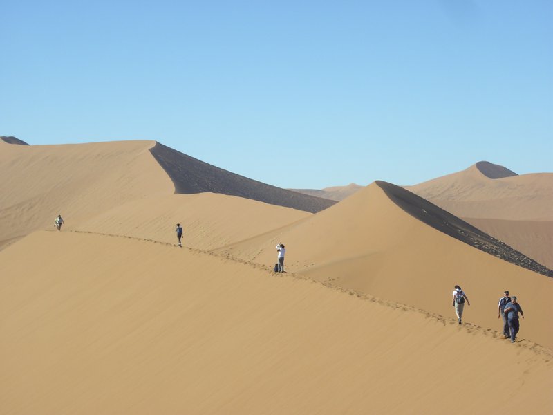 Image CIMG8809.JPG