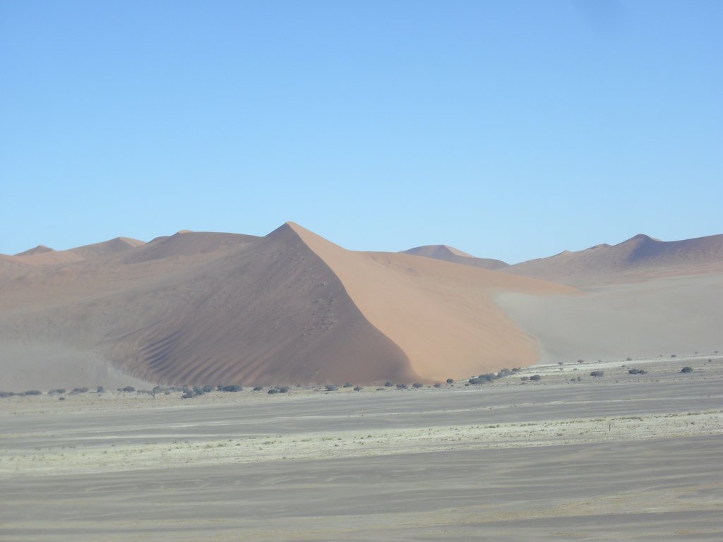Image CIMG8813.JPG