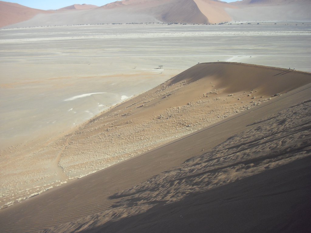 Image CIMG8819.JPG