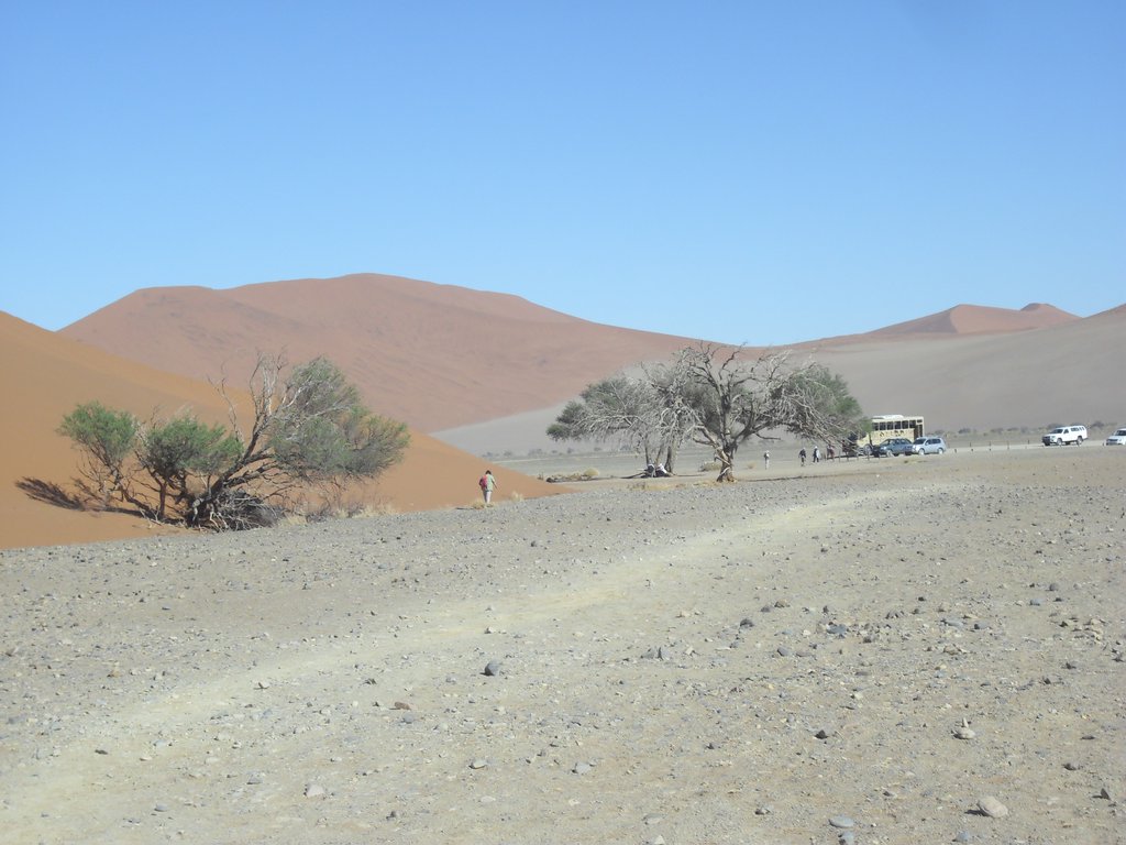 Image CIMG8826.JPG