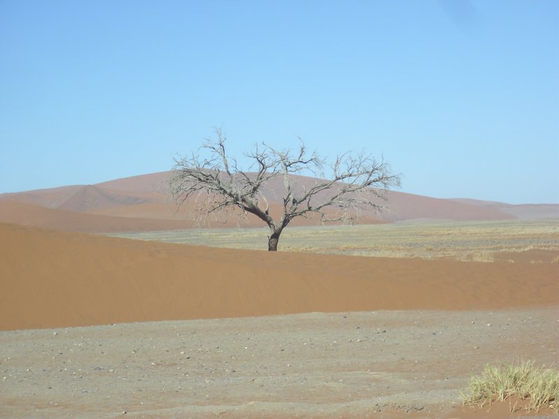 Image CIMG8830.JPG