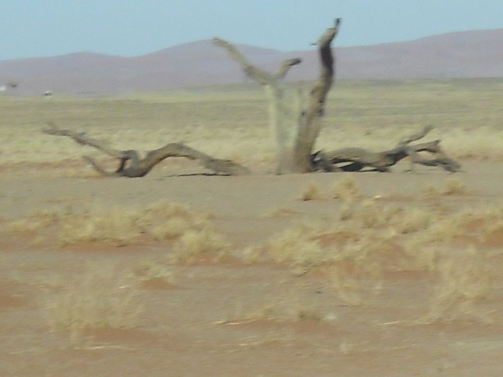 Image CIMG8831.JPG