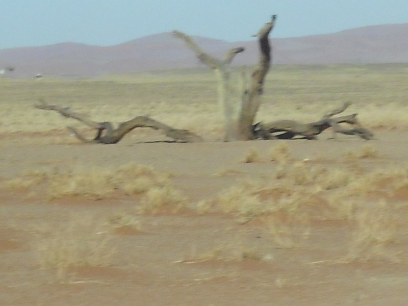 Image CIMG8831.JPG
