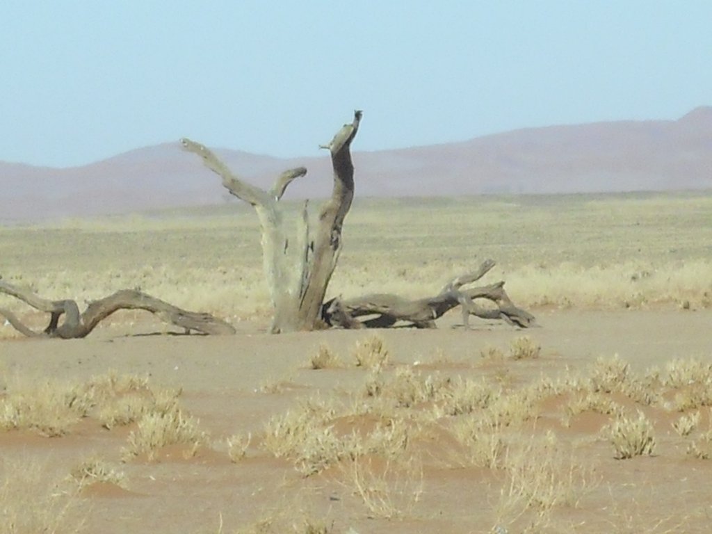 Image CIMG8832.JPG