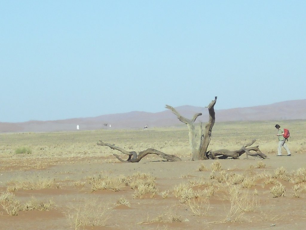 Image CIMG8833.JPG