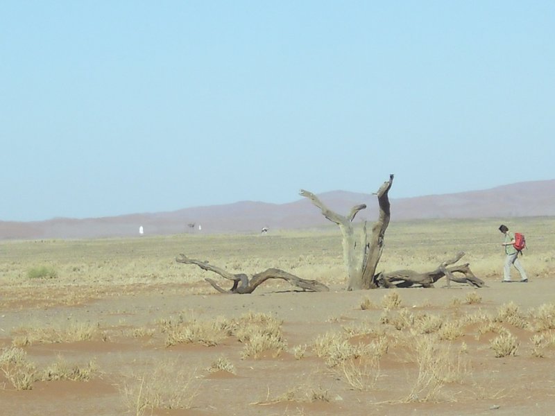 Image CIMG8833.JPG